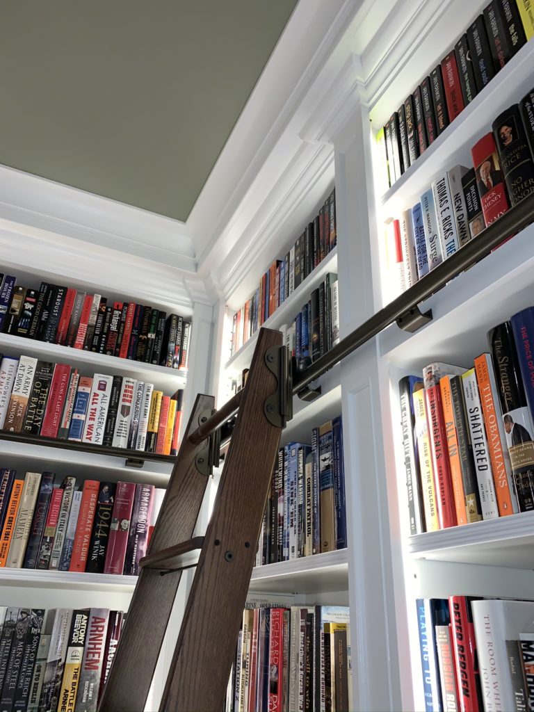 Library Bookshelves and Ladder