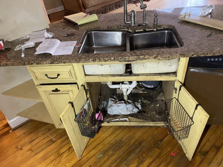 Kitchen Before Renovations